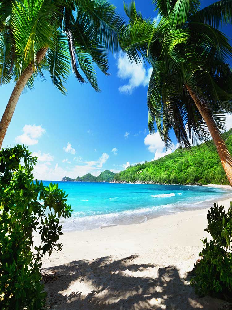 Seychelles Beach & bush honeymoon bespoke luxury safari ©bushtreksafaris