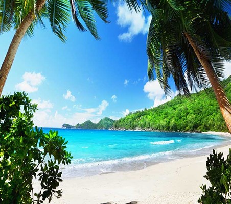Seychelles Beach & bush honeymoon bespoke luxury safari ©bushtreksafaris