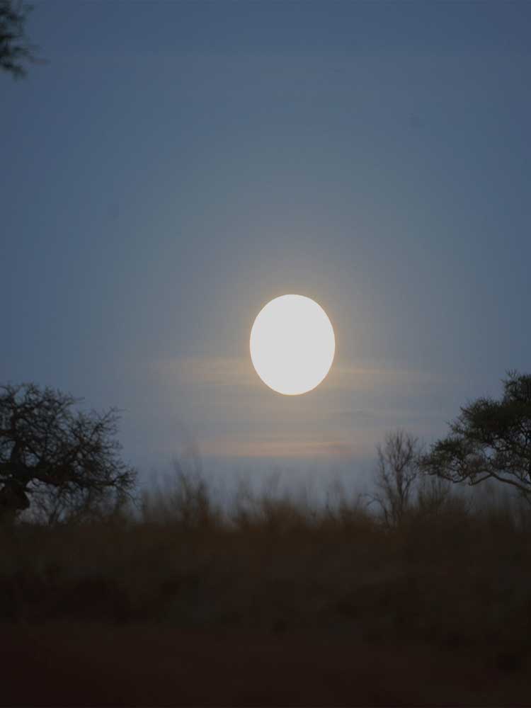 Night Game Safari Moon photo over bushland masai mara Kenya safari ©bushtreksafaris