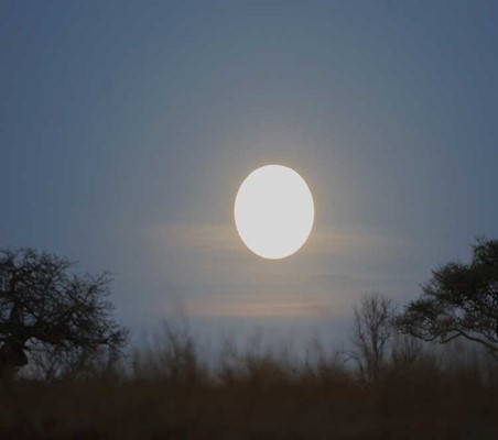 Night Game Safari Moon photo over bushland masai mara Kenya safari ©bushtreksafaris