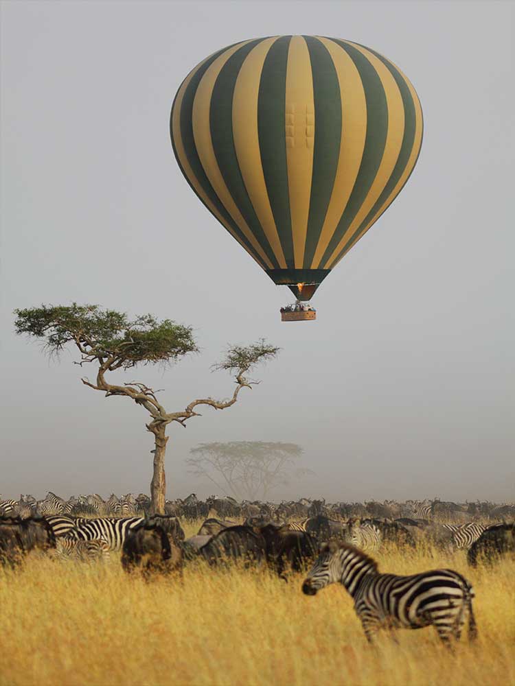 serengeti balloon safari during the migration African safari vacation ©bushtreksafaris