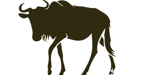 Serengeti