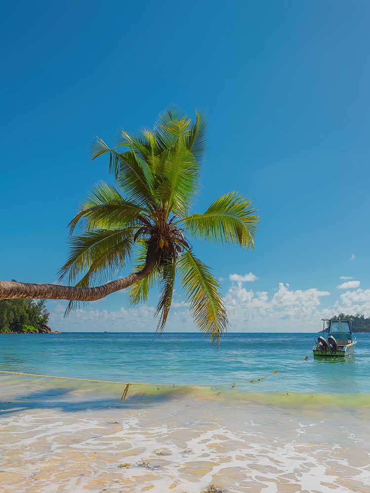 Anse Takamaka Beach On Mahe Island Seychelles honeymoon safari ©bushtreksafaris