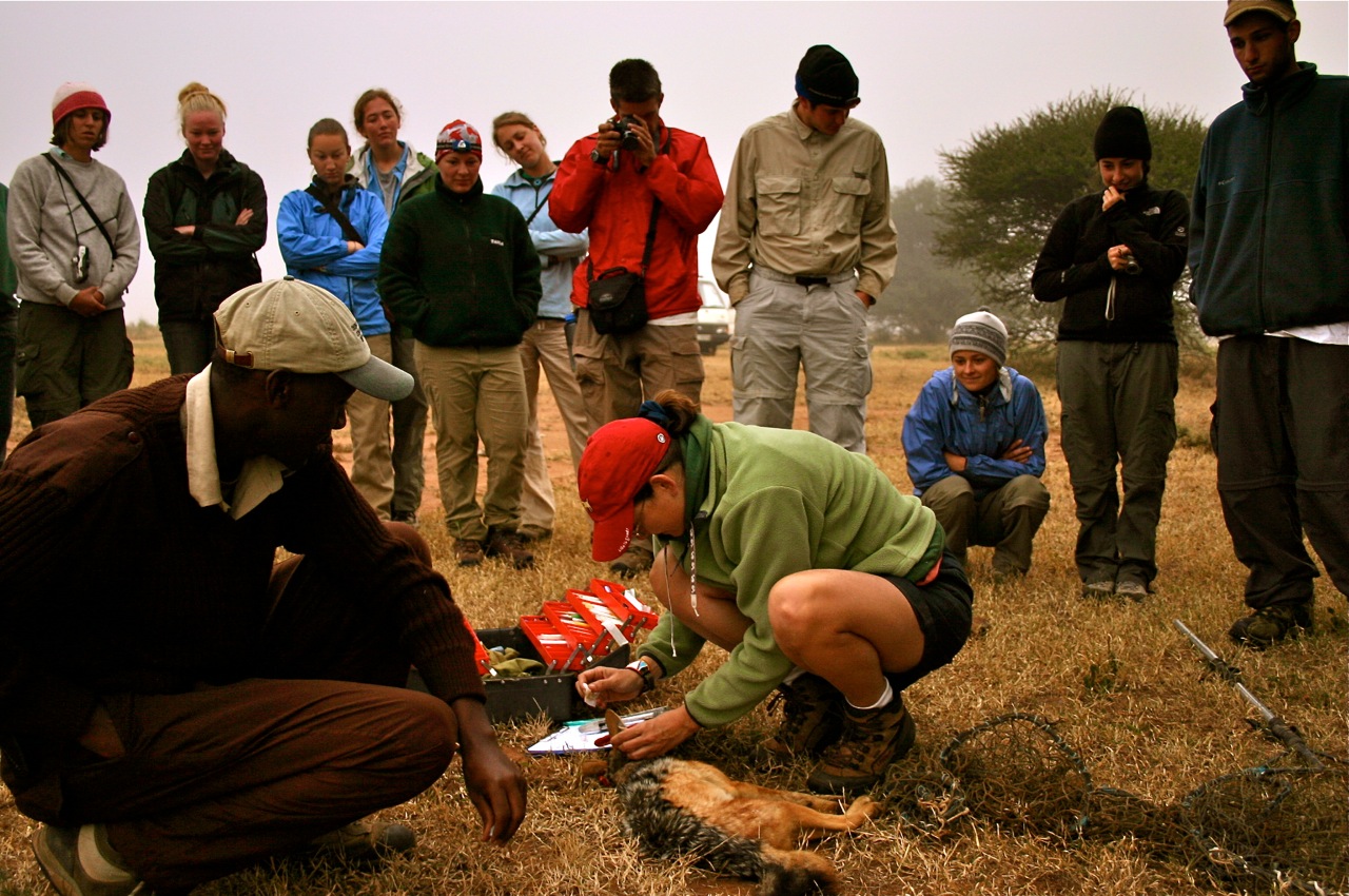 wildlife Conservation efforts in Kenya ®bushtreksafaris