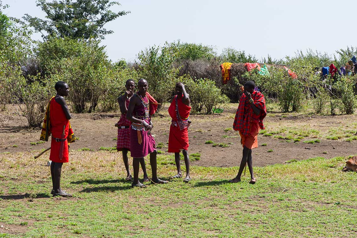 maasai preparing for the days work meet the maasai on safari ®bushtreksafaris
