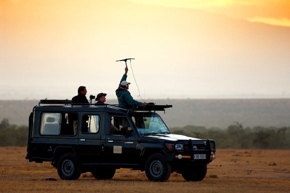 conservation safari tracking lions conservancy ®bushtreksafaris