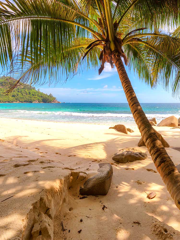 Seychelles Mahe island honeymoon beach & bush safari honeymoon ©bushtreksafaris