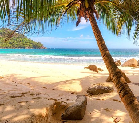 Seychelles Mahe island honeymoon beach & bush safari honeymoon ©bushtreksafaris