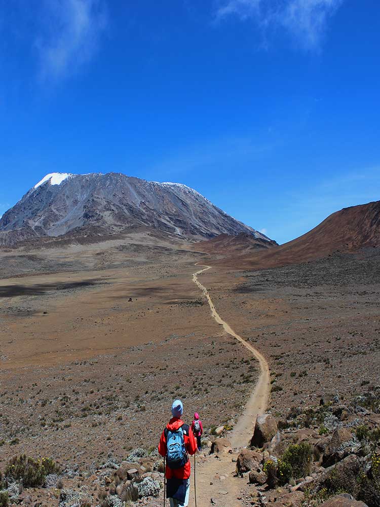 Mt Kilimanjaro Path To Summit guaranteed ©bushtreksafaris