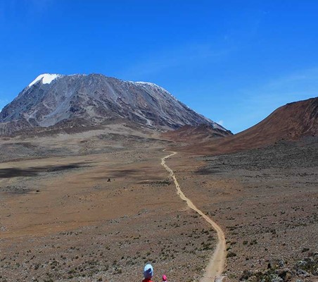 Mt Kilimanjaro Path To Summit guaranteed ©bushtreksafaris