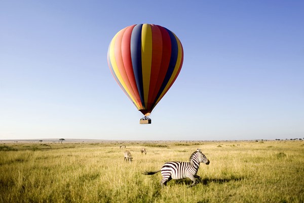 Kichwa tembo Hot Air Balloon safari ®bushtreksafaris