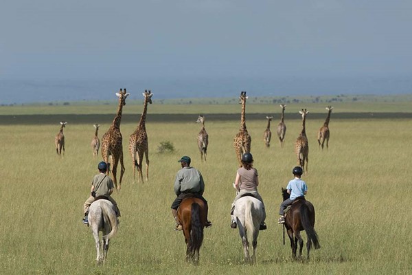 Horse Riding Safari ol malo Giraffes sighting Kenya private safaris ©bushtreksafaris