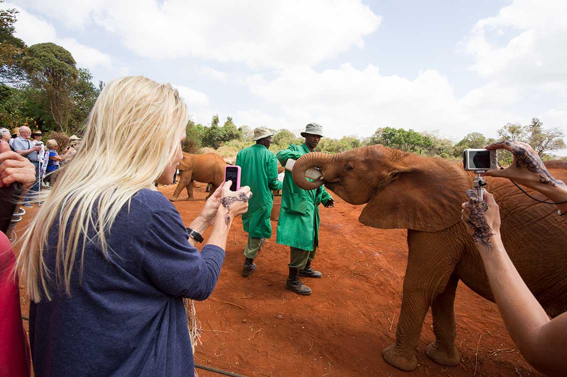 toursist take photo of orphan elephant taking bottle to feed at DSWT Nairobi adopt an elephant while on safari ©bushtreksafaris