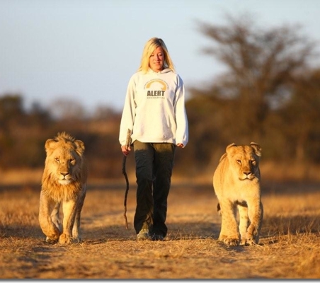 walking with lions conservation of lions in Africa ®bushtreksafaris