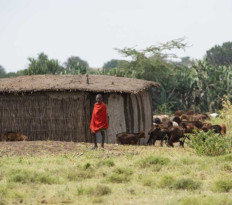 maasai boy at his boma hering goats ®bushtreksafaris