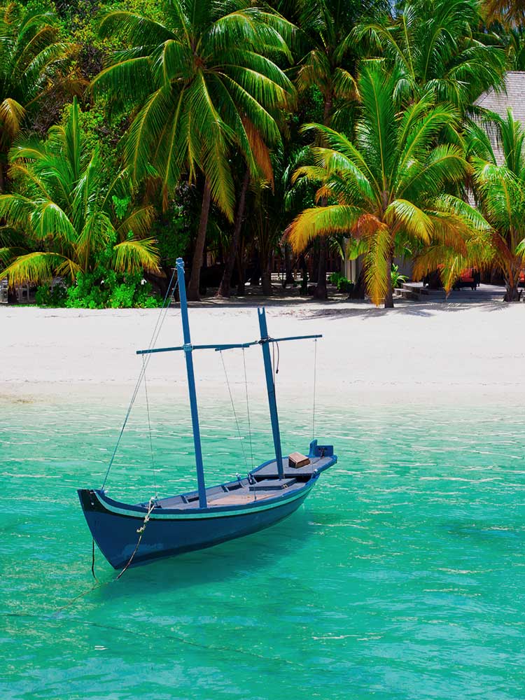 Seychelles Beach & bush safari with bespoke luxury options ©bushtreksafaris