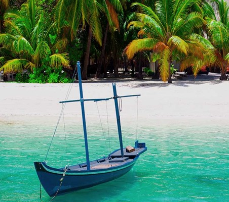 Seychelles Beach & bush safari with bespoke luxury options ©bushtreksafaris
