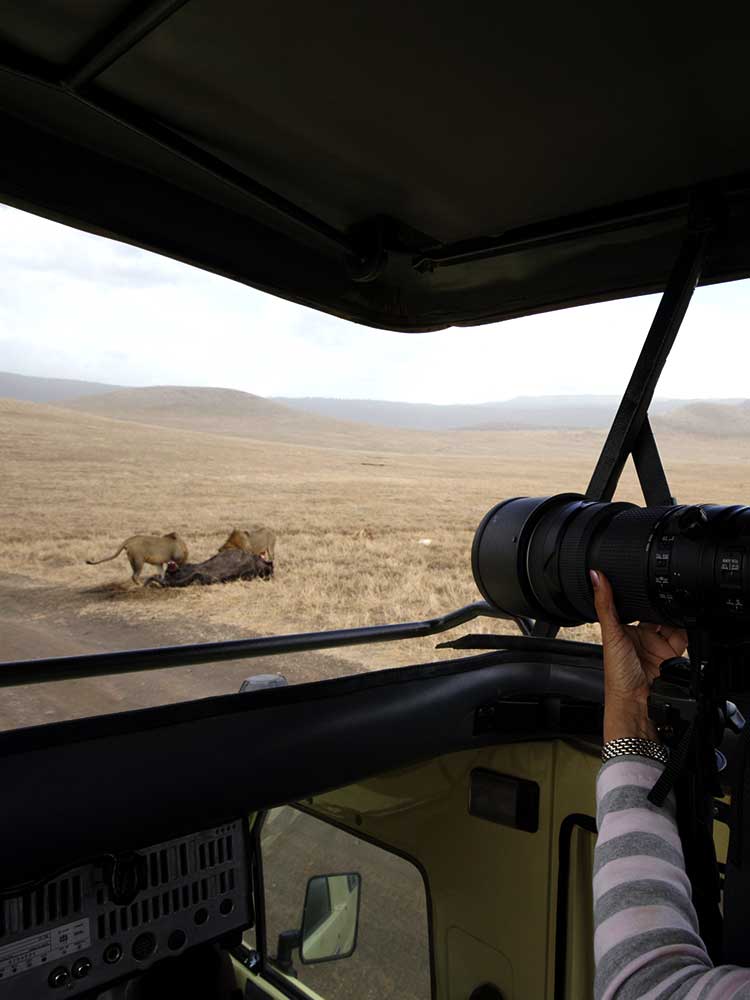 Photography safaris in Africa are amazing custom vehicles for professionals & amateurs #1 ©bushtreksafaris