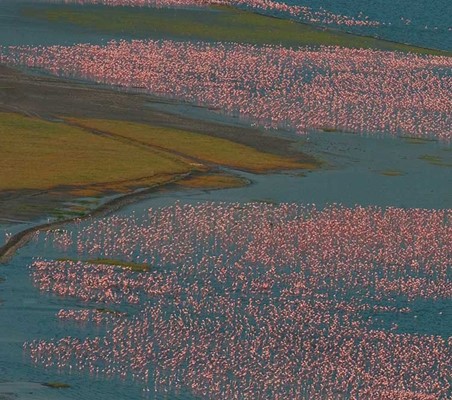 Flamingos of Bogoria From Above private flying safari ©bushtreksafaris