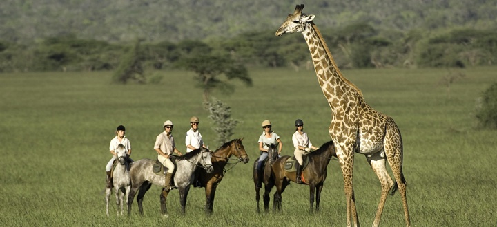Horse Riding safari Laikipia Kenya ol malo ®bushtreksafaris