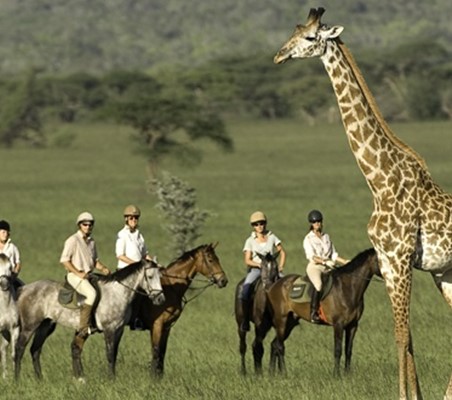 Horse Riding safari Laikipia Kenya ol malo ®bushtreksafaris